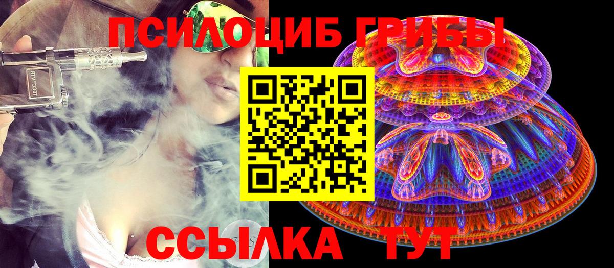 Псилоцибиновые грибы мухоморы  Вход с VPN  Бугульма  как найти   Псилоцибиновые грибы мицелий 