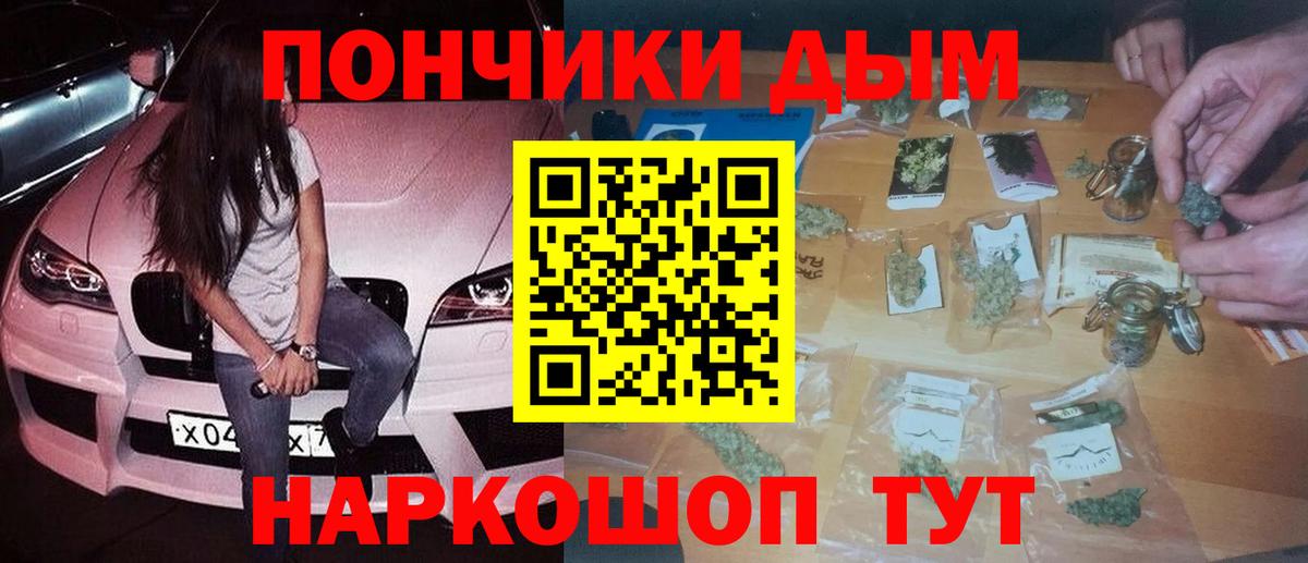 Канабис Bruce Banner  Вход с VPN  Марихуана гибрид  Бошки марихуана семена  Конопля ГИДРОПОН  Бугульма 