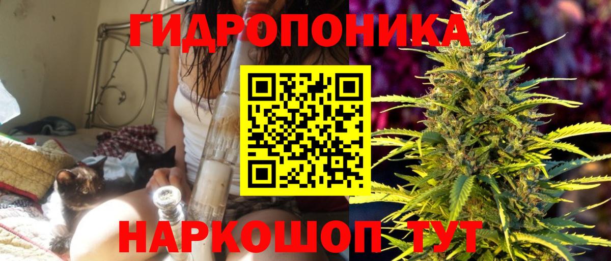 МАРИХУАНА сатива Бугульма